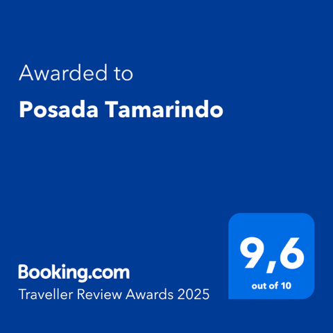 Booking.com Traveller Review Awards 2025